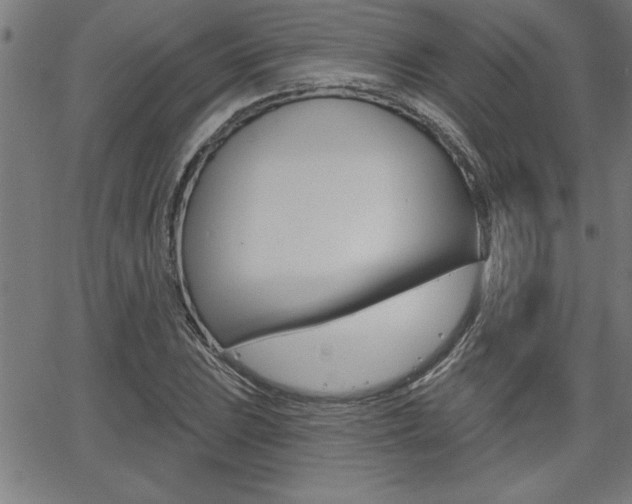 X0000065971023200603030859