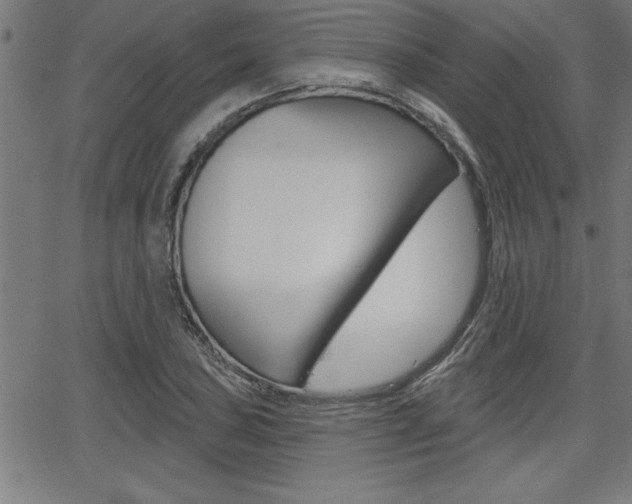 X0000065971027200603030859