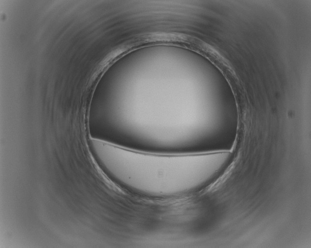 X0000065971033200603030900
