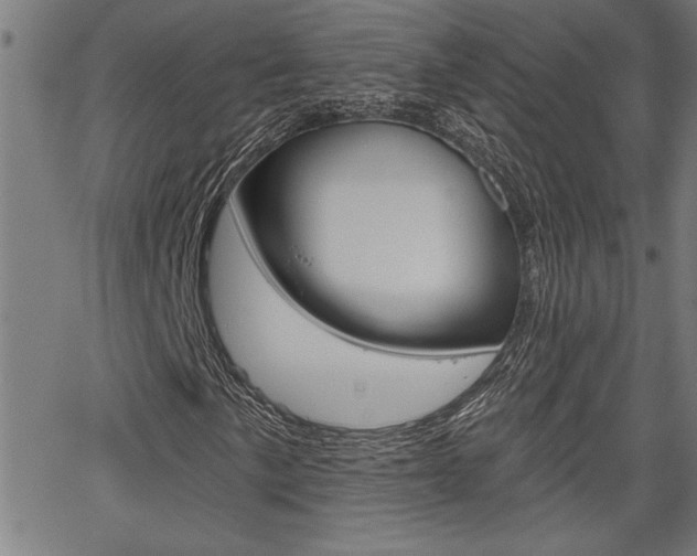 X0000065971057200603030859