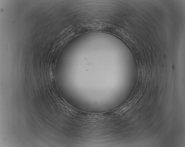 X0000065971058200603030859