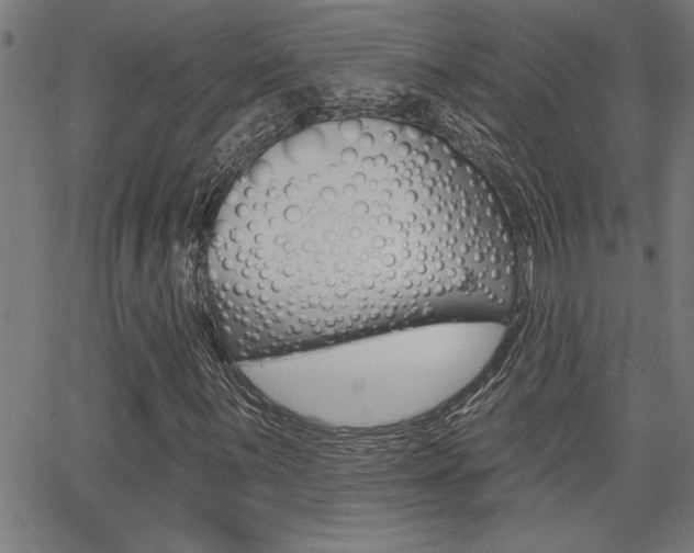 X0000065971059200603030859