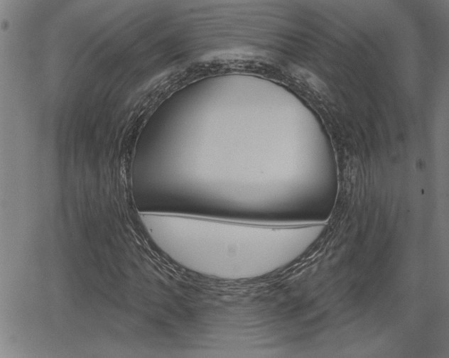 X0000065971062200603030859