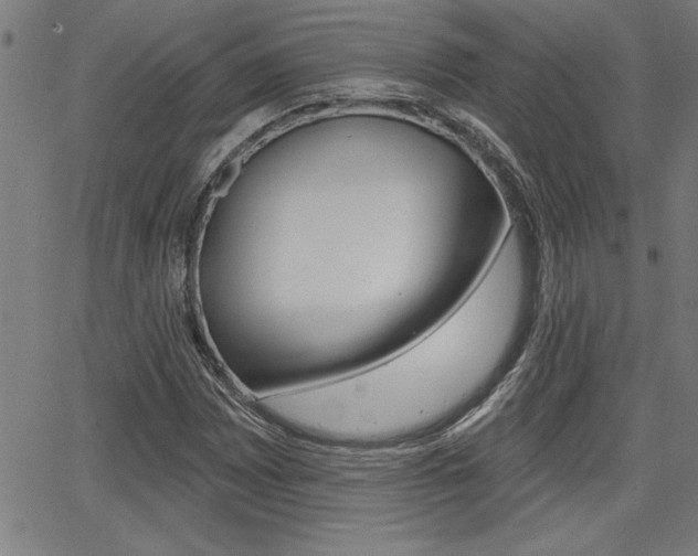 X0000065971065200603030859