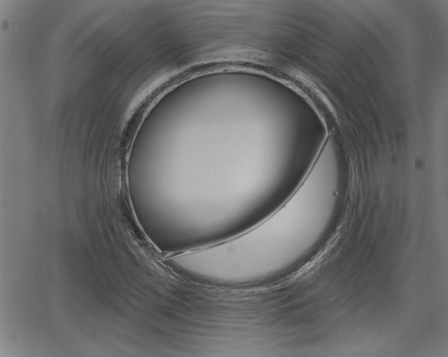 X0000065971069200603030859