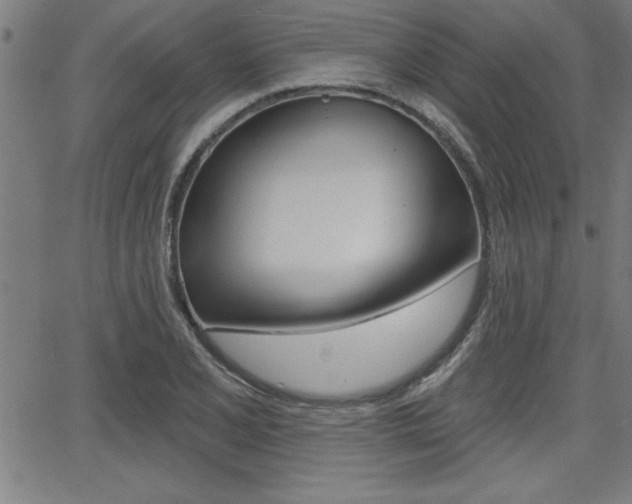 X0000065971077200603030859