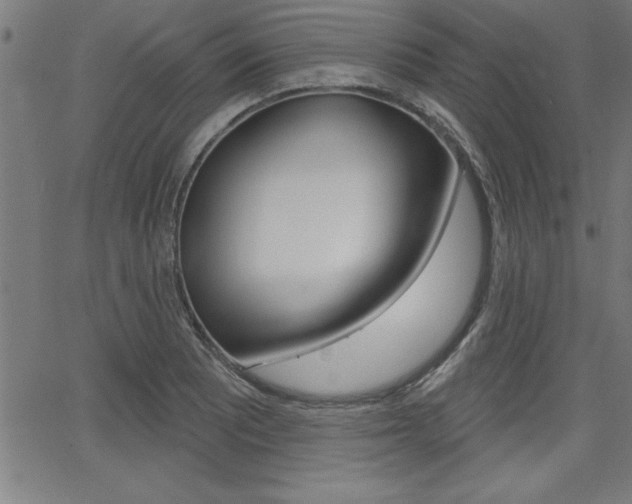 X0000065971081200603030859