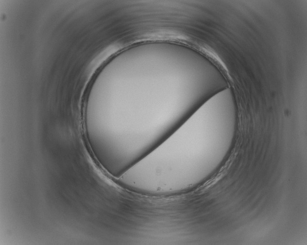 X0000065971087200603030859