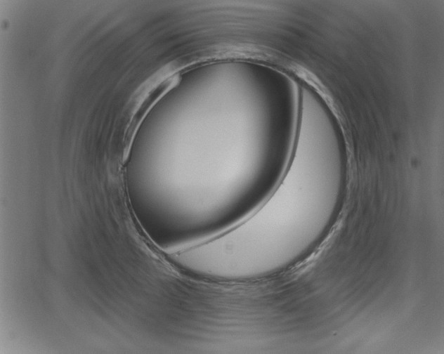 X0000065971089200603030859