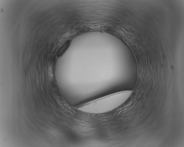 X0000065971106200603030858