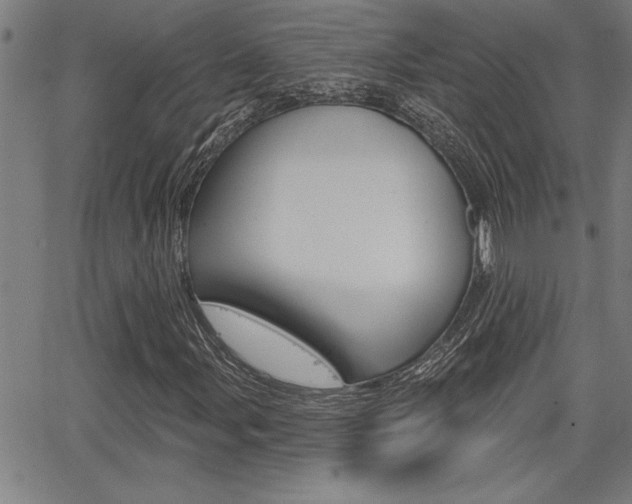 X0000065971107200603030858
