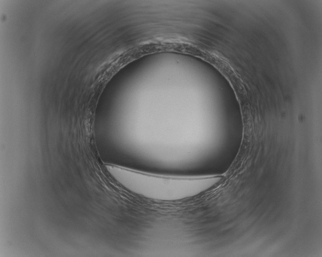 X0000065971110200603030858