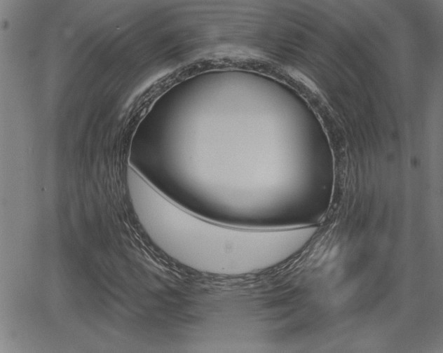 X0000065971112200603030858