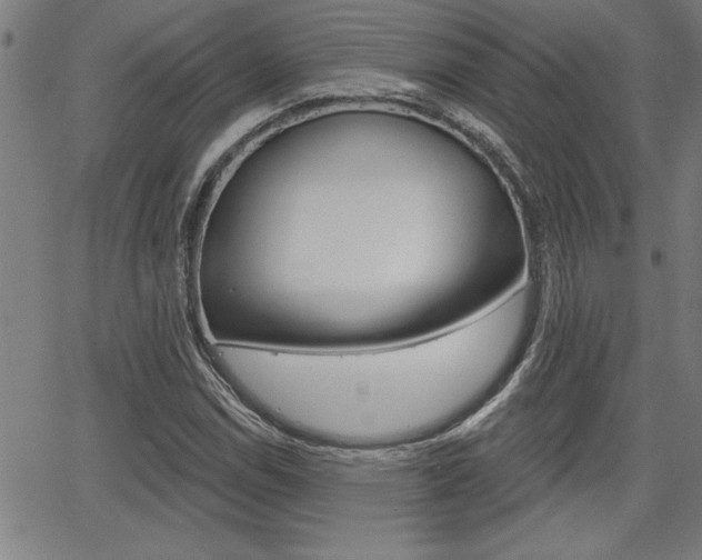 X0000065971114200603030858