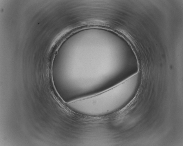 X0000065971115200603030858