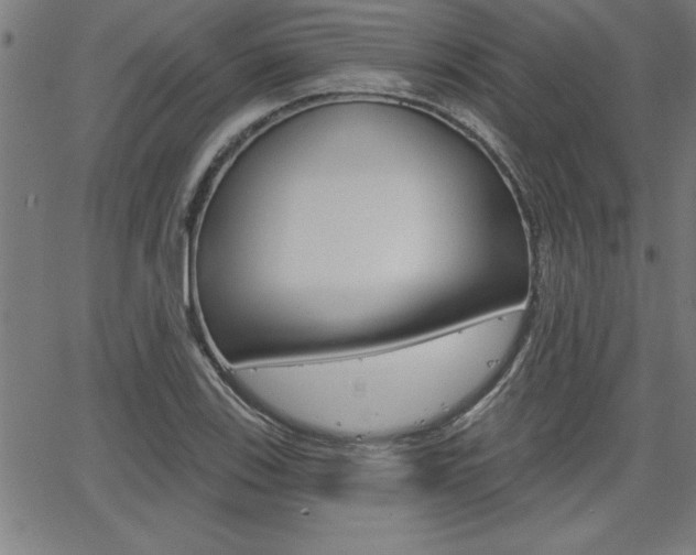X0000065971123200603030858