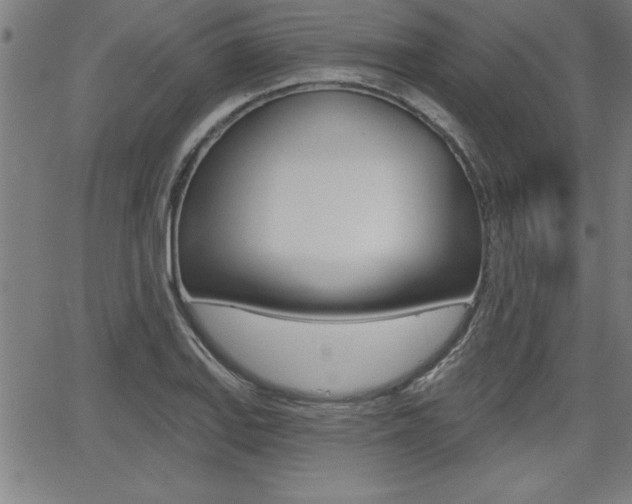 X0000065971127200603030858
