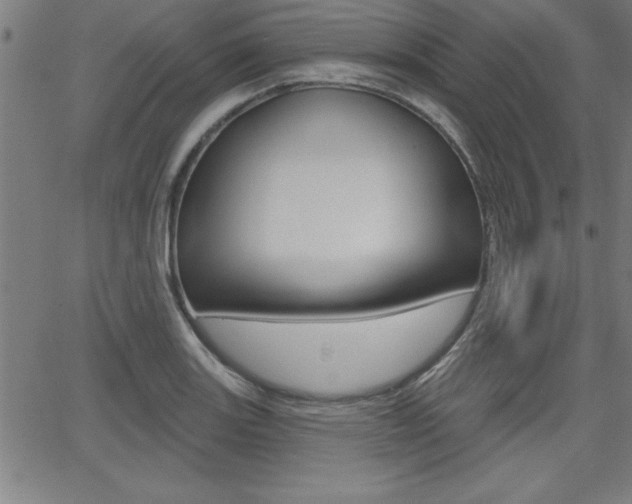 X0000065971131200603030858