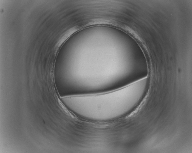 X0000065971137200603030858