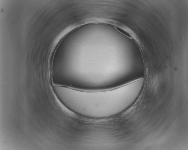 X0000065971143200603030858