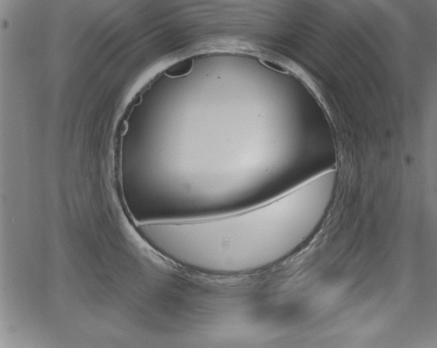 X0000065971147200603030858