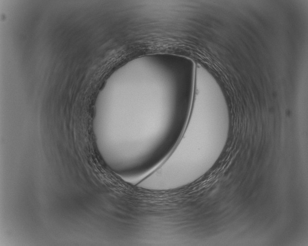X0000065971153200603030858