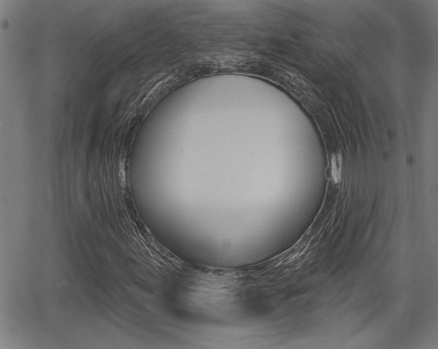 X0000065971155200603030858