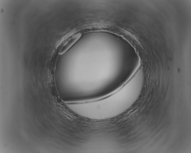 X0000065971160200603030857
