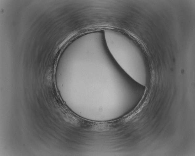 X0000065971162200603030857