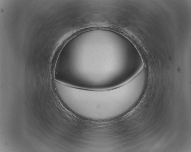 X0000065971168200603030857