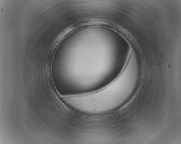 X0000065971177200603030857