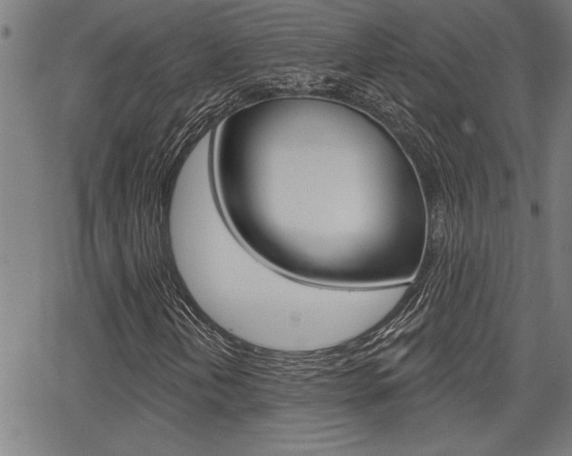 X0000065971202200603030856