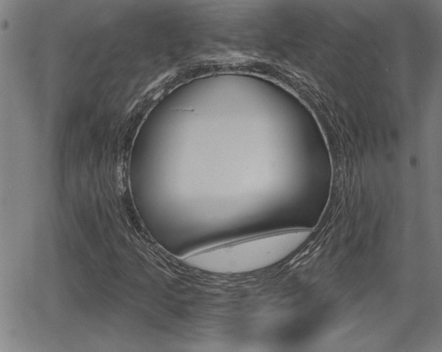 X0000065971205200603030856