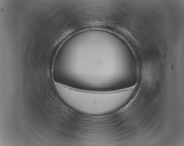 X0000065971209200603030856