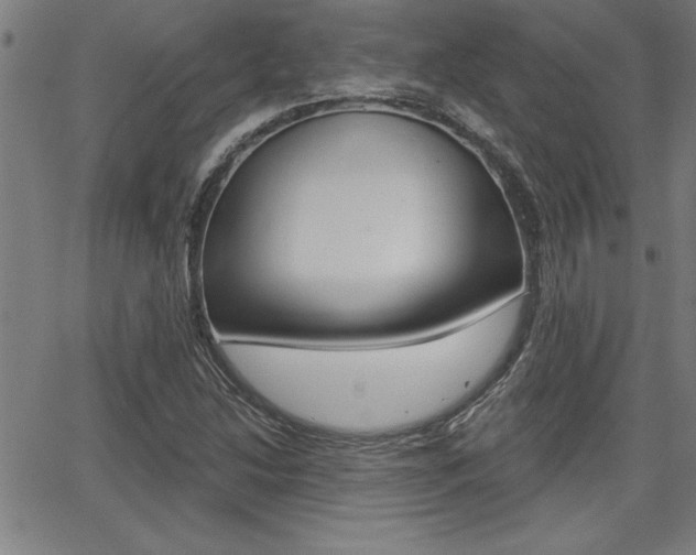 X0000065971214200603030856