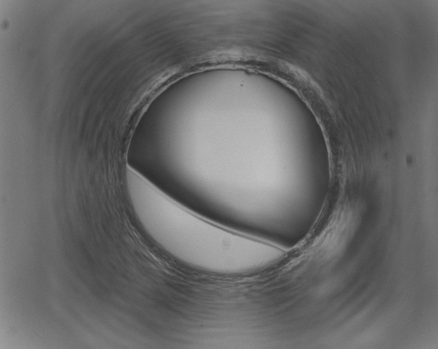 X0000065971217200603030856