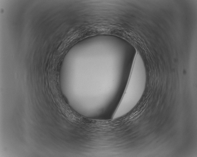 X0000065971249200603030856