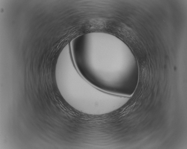 X0000065971250200603030856