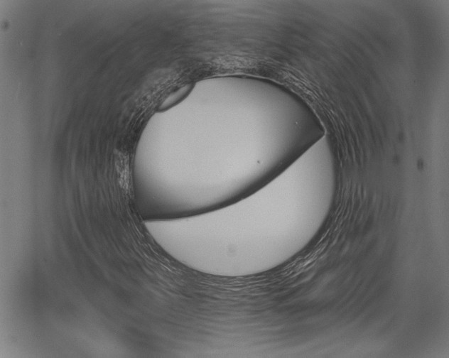 X0000065971251200603030856