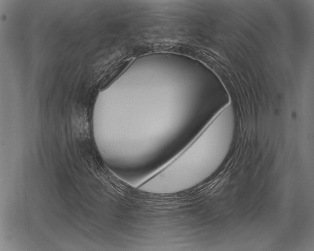 X0000065971252200603030856
