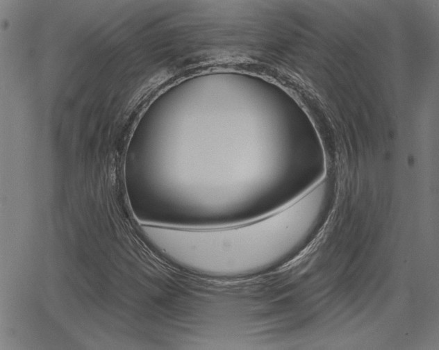 X0000065971257200603030856