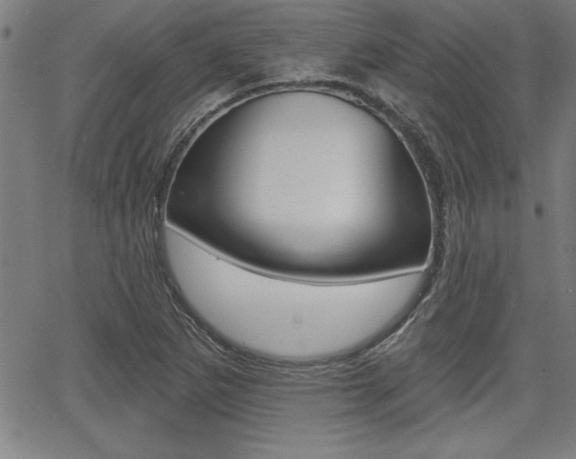 X0000065971265200603030856