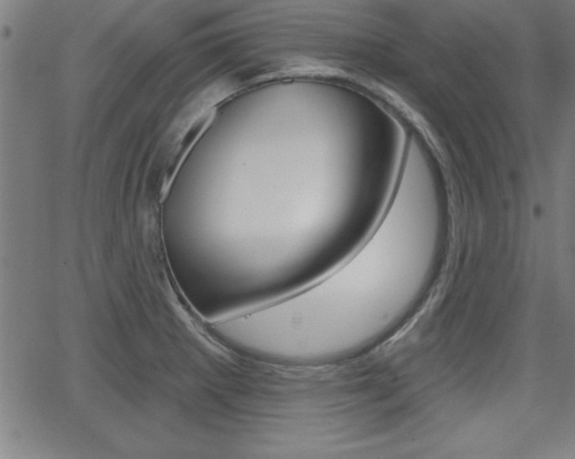 X0000065971281200603030855