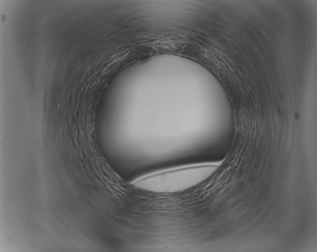 X0000065971297200603030854