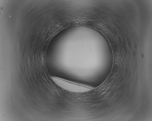 X0000065971298200603030854