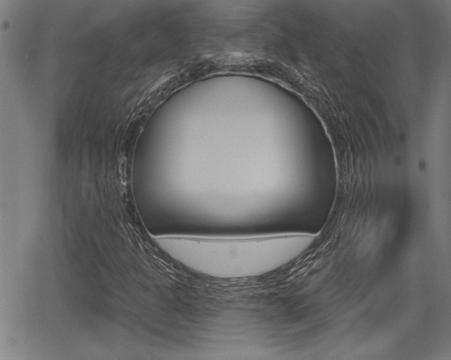 X0000065971301200603030855