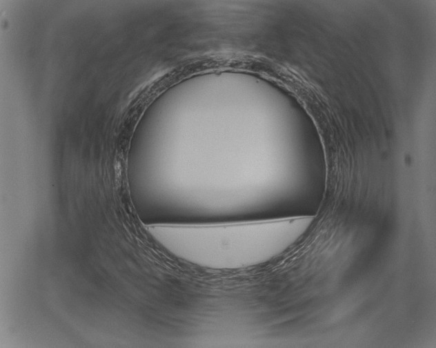 X0000065971302200603030855