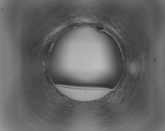X0000065971303200603030855
