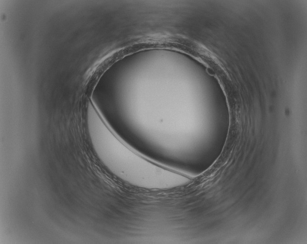 X0000065971304200603030855