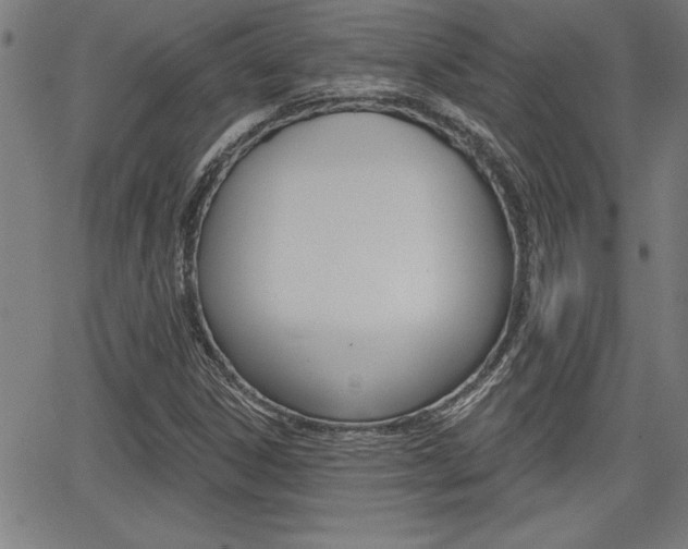 X0000065971306200603030855